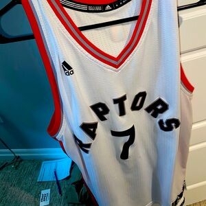 Kyle lowry raptors jersey